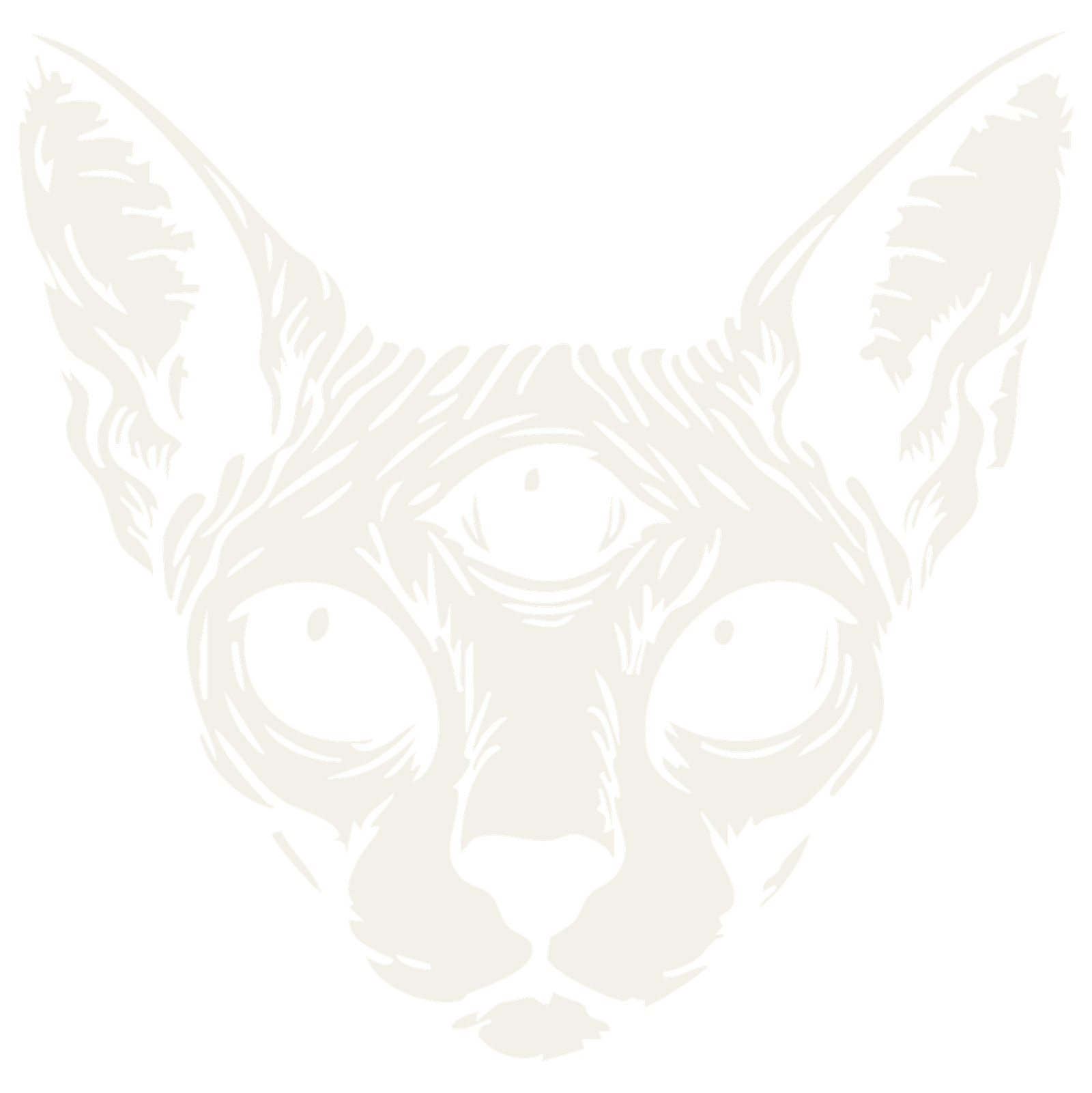 Chat Nwar